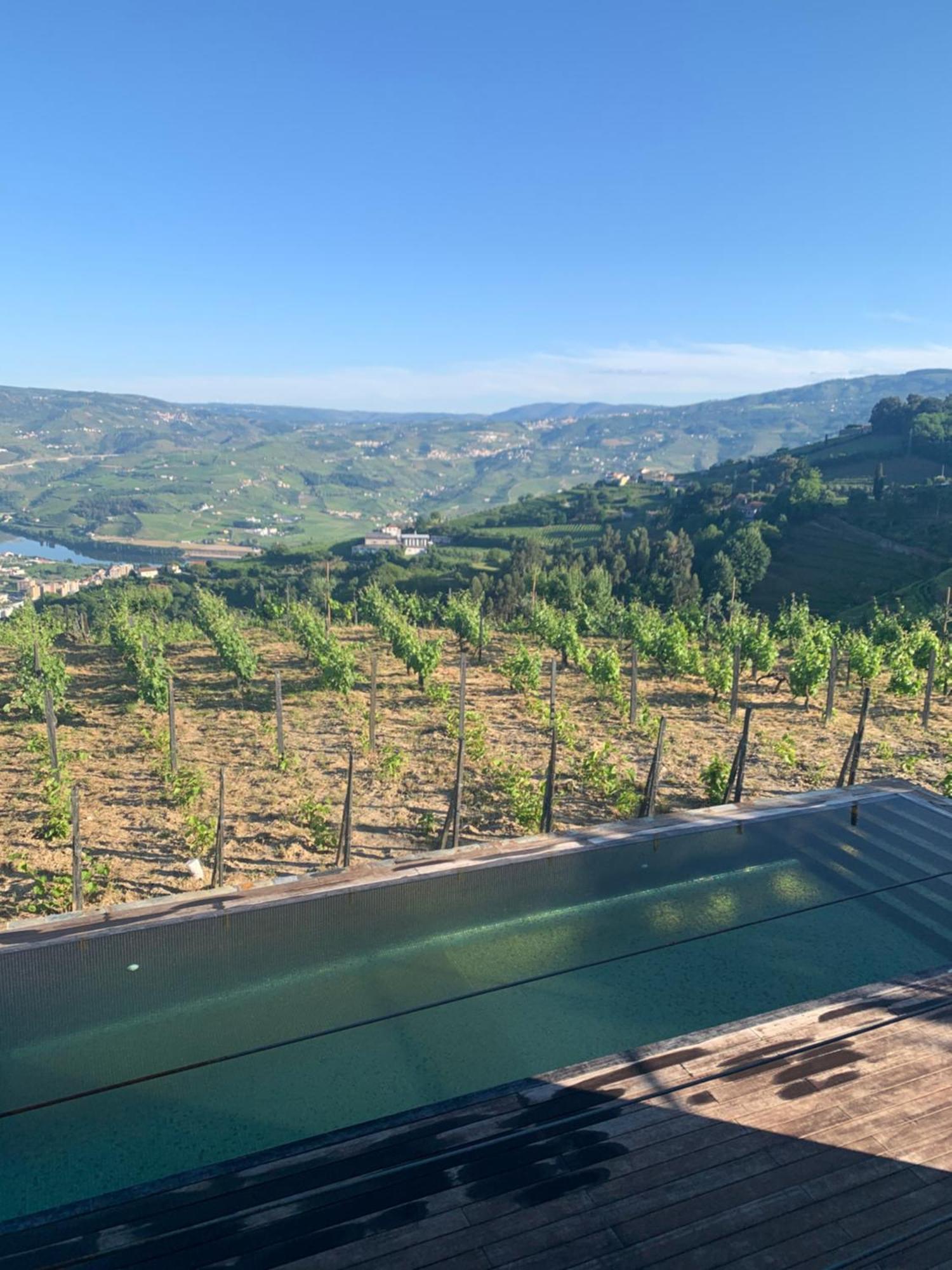 פסו דה רגואה Casa Da Quinta De Santa Cruz - Douro Valley - By Met מראה חיצוני תמונה