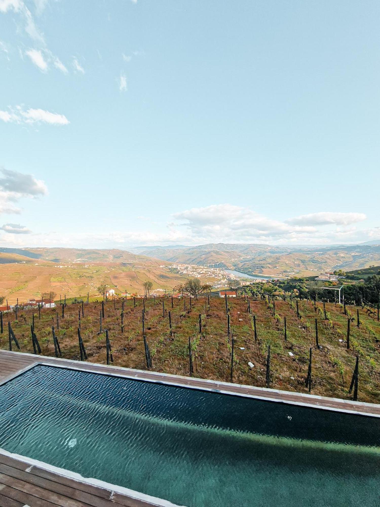 פסו דה רגואה Casa Da Quinta De Santa Cruz - Douro Valley - By Met מראה חיצוני תמונה