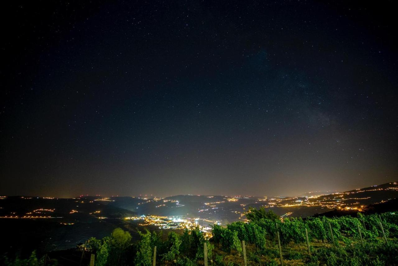 פסו דה רגואה Casa Da Quinta De Santa Cruz - Douro Valley - By Met מראה חיצוני תמונה