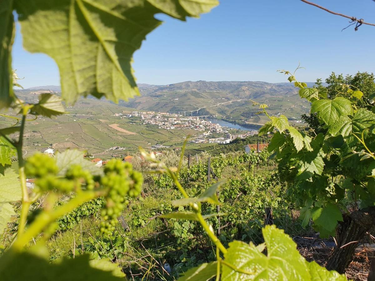 פסו דה רגואה Casa Da Quinta De Santa Cruz - Douro Valley - By Met מראה חיצוני תמונה