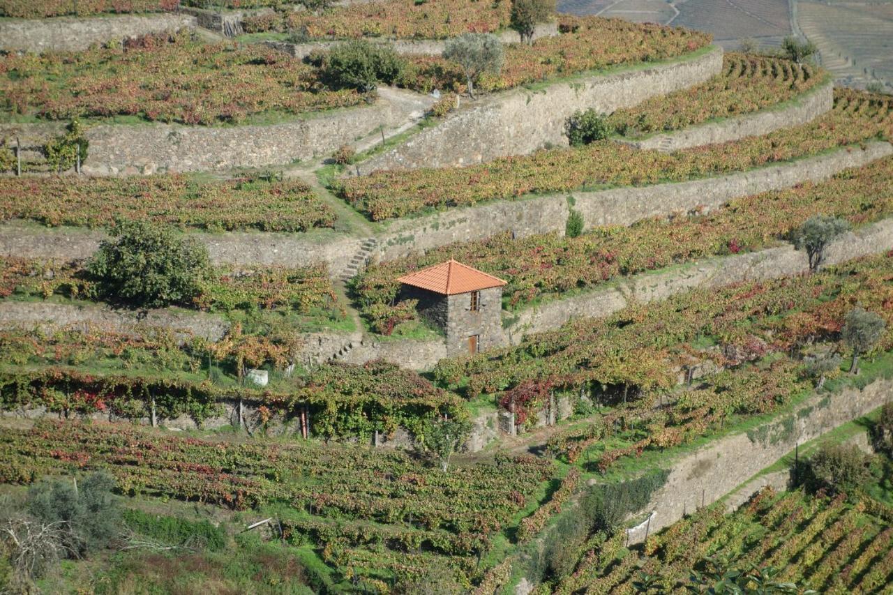 פסו דה רגואה Casa Da Quinta De Santa Cruz - Douro Valley - By Met מראה חיצוני תמונה