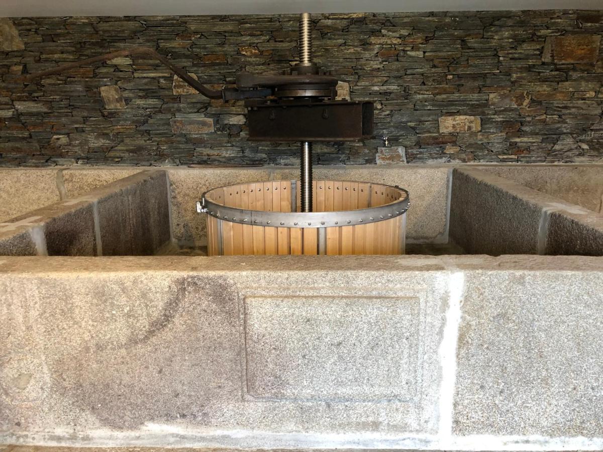 פסו דה רגואה Casa Da Quinta De Santa Cruz - Douro Valley - By Met מראה חיצוני תמונה