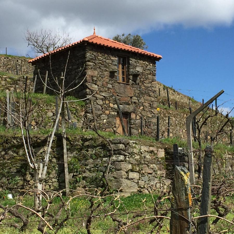 פסו דה רגואה Casa Da Quinta De Santa Cruz - Douro Valley - By Met מראה חיצוני תמונה